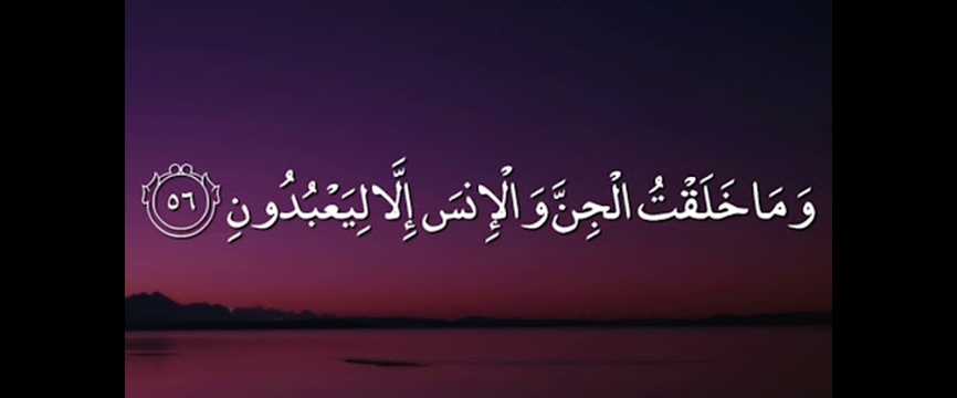 کیفیت خلقت انسان