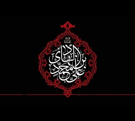 در سایه هادی امت